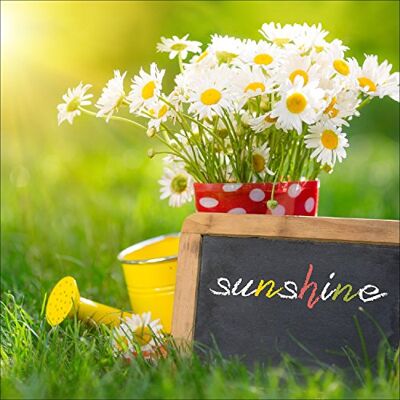 ART gla1089b wandafbeelding glasafbeelding "Sunshine", 50 x 50 cm ART gla1089b wandafbeelding glasafbeelding "Sunshine", 50 x 50 cm