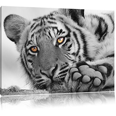 Pixxprint ontspannen Tijger zwart/wit Maat: 100x70 op canvas, XXL Enorme Volledig ingelijste foto's met brancard, kunstdruk op muur met lijst, goedkoper dan schilderen of schilderen Pixxprint ontspannen Tijger zwart/wit Maat: 100x70 op canvas, XXL Enorme Volledig ingelijste foto's met brancard, kunstdruk op muur met lijst, goedkoper dan schilderen of schilderen