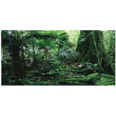 Pssopp 3D effect regenwoud poster sticker reptiel terrarium aquarium achtergrond aquarium aquarium muur sticker aquarium achtergrond poster onderwater pvc decor behang (76 x 46 cm) Pssopp 3D effect regenwoud poster sticker reptiel terrarium aquarium achtergrond aquarium aquarium muur sticker aquarium achtergrond poster onderwater pvc decor behang (76 x 46 cm)