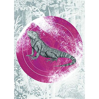 Komar Iguana Circle P077C-50 x 70 cm Afbeelding op canvas voor woonkamer slaapkamer wanddecoratie zonder lijst P077C-50 x 70 cm breedte 50 x hoogte 70 cm Komar Iguana Circle P077C-50 x 70 cm Afbeelding op canvas voor woonkamer slaapkamer wanddecoratie zonder lijst P077C-50 x 70 cm breedte 50 x hoogte 70 cm