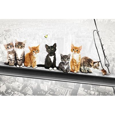 empireposter 740069 katten op stalen houders van New York Kittens – Fun Cities Poster Print, papier, meerkleurig, 91,5 x 61 x 0,14 cm empireposter 740069 katten op stalen houders van New York Kittens – Fun Cities Poster Print, papier, meerkleurig, 91,5 x 61 x 0,14 cm