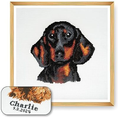 Trimits Grote gepersonaliseerde kruissteekset voor volwassenen, beginners, wanddecoratie voor dierenliefhebbers, hondenbezitters, 11 punten, 36 x 36 cm, worsthond, teckel, lijst niet inbegrepen Trimits Grote gepersonaliseerde kruissteekset voor volwassenen, beginners, wanddecoratie voor dierenliefhebbers, hondenbezitters, 11 punten, 36 x 36 cm, worsthond, teckel, lijst niet inbegrepen