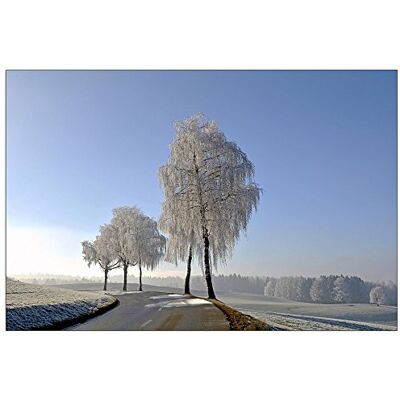 ArtPlaza Art Studio Wintry decoratief bord van hout, meerkleurig, 90 x 60 cm ArtPlaza Art Studio Wintry decoratief bord van hout, meerkleurig, 90 x 60 cm