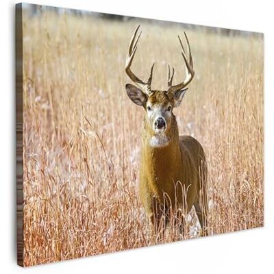 MuchoWow © Canvas Print Schilderij 80 x 60 cm Muurfoto Decoratie Woonkamer Reproducties Hert Gras Herfst Dieren Natuur Hout 80x60 cm Reproductions de Tableaux Murale Moderne Cerf Herbe Automne Animaux Nature Bois MuchoWow © Canvas Print Schilderij 80 x 60 cm Muurfoto Decoratie Woonkamer Reproducties Hert Gras Herfst Dieren Natuur Hout 80x60 cm Reproductions de Tableaux Murale Moderne Cerf Herbe Automne Animaux Nature Bois