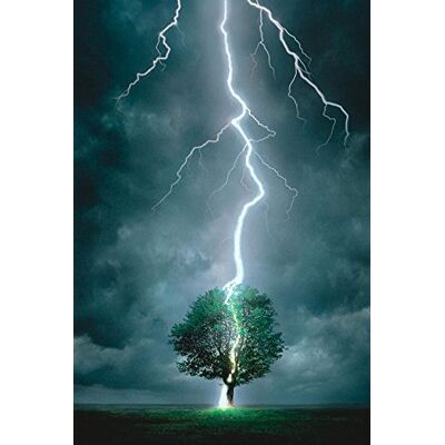 empireposter Power of Nature Lightning Striking Tree I natuurposter storm afmetingen: 61 x 91,5 cm + 1 poster 61 x 91,5 cm empireposter Power of Nature Lightning Striking Tree I natuurposter storm afmetingen: 61 x 91,5 cm + 1 poster 61 x 91,5 cm