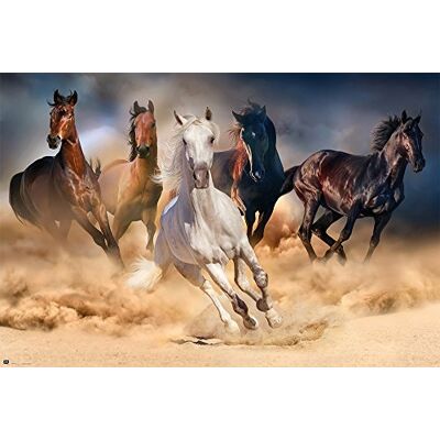 empireposter Paardenposter paarden paardenkudde grootte 91,5 x 61 cm + 1x Ü poster 61 x 91,5 cm empireposter Paardenposter paarden paardenkudde grootte 91,5 x 61 cm + 1x Ü poster 61 x 91,5 cm