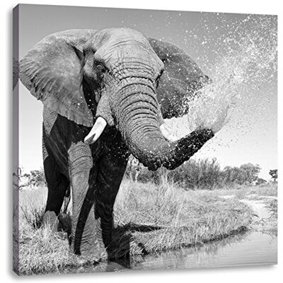 Pixxprint Olifant met water gespoten canvas, foto ruimte, grootte: 70 x 70 cm, wanddecoratie, kunstdruk, compleet gemonteerd Pixxprint Olifant met water gespoten canvas, foto ruimte, grootte: 70 x 70 cm, wanddecoratie, kunstdruk, compleet gemonteerd