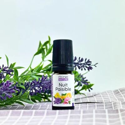 PROPOS'NATURE Roll-on Night Peace – 5 ml – – biologisch gecertificeerd PROPOS'NATURE Roll-on Night Peace – 5 ml – – biologisch gecertificeerd