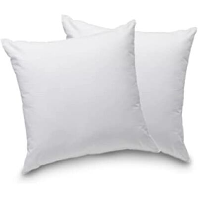 Blanrêve Set van 2 comfortabele kussens – synthetische vezels – zachte en pluizige grip om op buik of rug in slaap te vallen – milieuvriendelijk – gemaakt in Frankrijk – 60 x 60 cm Blanrêve Set van 2 comfortabele kussens – synthetische vezels – zachte en pluizige grip om op buik of rug in slaap te vallen – milieuvriendelijk – gemaakt in Frankrijk – 60 x 60 cm