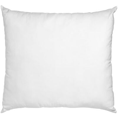 Blanrêve Traditionele kussens Natuurlijk en milieuvriendelijk Anti-mijt Stevig comfort 60 x 60 cm Gemaakt in Frankrijk, Units Blanrêve Traditionele kussens Natuurlijk en milieuvriendelijk Anti-mijt Stevig comfort 60 x 60 cm Gemaakt in Frankrijk, Units