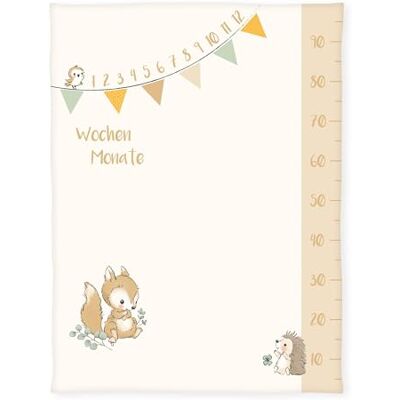 Herding Babybest Zachte deken van polyester met accessoires, 75 x 100 cm Herding Babybest Zachte deken van polyester met accessoires, 75 x 100 cm