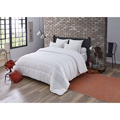 DODO l Ecologisch gematigd dekbed, 220 x 240 l, voor tweepersoonsbed, New York, zacht, perzikhuid, gemaakt in Frankrijk, machinewasbaar op 40 °C DODO l Ecologisch gematigd dekbed, 220 x 240 l, voor tweepersoonsbed, New York, zacht, perzikhuid, gemaakt in Frankrijk, machinewasbaar op 40 °C
