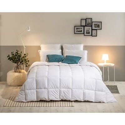 Bleu Calin Dekbed voor tweepersoonsbed, sensatie, dons, zeer warm, katoen, wit, 240 x 260 cm, KSD50 Bleu Calin Dekbed voor tweepersoonsbed, sensatie, dons, zeer warm, katoen, wit, 240 x 260 cm, KSD50