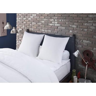 DODO Set van 2 natuurlijke kussens, 60 x 60 cm, stevig comfort, 2 Meribel kussens van 100% veren, zacht en temperatuurregulerend, gemaakt in Frankrijk, machinewasbaar op 40 °C DODO Set van 2 natuurlijke kussens, 60 x 60 cm, stevig comfort, 2 Meribel kussens van 100% veren, zacht en temperatuurregulerend, gemaakt in Frankrijk, machinewasbaar op 40 °C