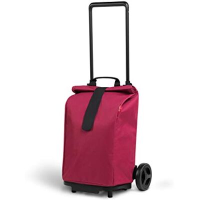 gimi Sprinter, opvouwbare winkelwagen met verstelbare telescopische handgreep, regentas en klittenband, met grote wielen en spatbord, draagvermogen 50 liter, 45 x 39 x 103 cm gimi Sprinter, opvouwbare winkelwagen met verstelbare telescopische handgreep, regentas en klittenband, met grote wielen en spatbord, draagvermogen 50 liter, 45 x 39 x 103 cm