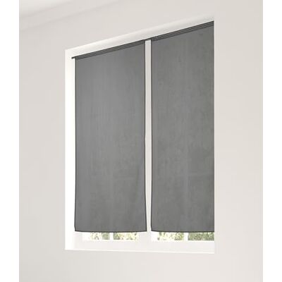 Linder Gordijn met stangdoorvoer, antracietgrijs, 60 x 140 cm, 100% polyester, Öko-Tex-gecertificeerd, geweven en gekleurd in Frankrijk, collectie Etamine Givrée Linder Gordijn met stangdoorvoer, antracietgrijs, 60 x 140 cm, 100% polyester, Öko-Tex-gecertificeerd, geweven en gekleurd in Frankrijk, collectie Etamine Givrée