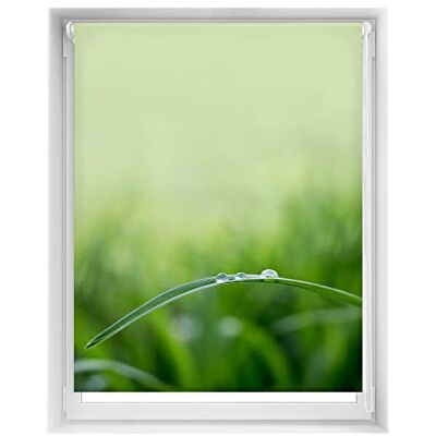 Blindecor Easy Store Rolgordijn zonder boren, digitale print, lichtdoorlatend, 120 x 150 cm (b x h), stofmaat 117 x 145 cm Blindecor Easy Store Rolgordijn zonder boren, digitale print, lichtdoorlatend, 120 x 150 cm (b x h), stofmaat 117 x 145 cm