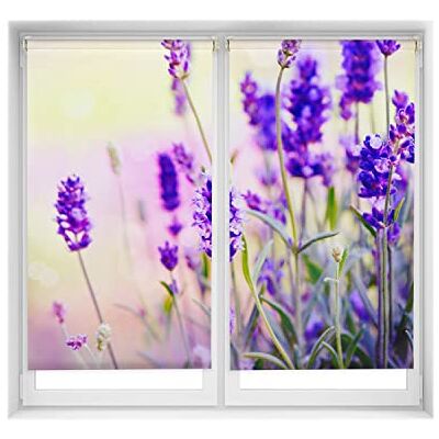 Blindecor Easy Pack 2 x verduisterend rolgordijn zonder boren, motief, blackout digitale print, rolgordijn lavendel, 85 x 150 cm (b x h), stofmaat 82 x 145 cm, set van 2 thermische rolgordijnen Blindecor Easy Pack 2 x verduisterend rolgordijn zonder boren, motief, blackout digitale print, rolgordijn lavendel, 85 x 150 cm (b x h), stofmaat 82 x 145 cm, set van 2 thermische rolgordijnen