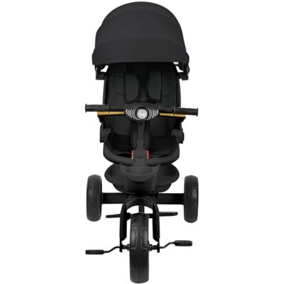 Willonin Kinderdriewieler, 5-in-1 driewieler, licht en muziek, omhullende zitting, zitting en kanteling, kinderwagen met 4 wielen, afneembare leuningen, bekerhouder, zwart Willonin Kinderdriewieler, 5-in-1 driewieler, licht en muziek, omhullende zitting, zitting en kanteling, kinderwagen met 4 wielen, afneembare leuningen, bekerhouder, zwart