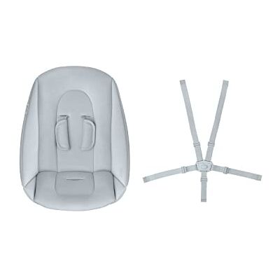Maxi-Cosi Nesta pasgeboren babyset, accessoireset voor pasgeborenen voor Nesta kinderstoel, 5-punts verloopstuk en gordel, vanaf de geboorte tot ca. 6 maanden, tot 9 kg, Beyond Sky Grey Maxi-Cosi Nesta pasgeboren babyset, accessoireset voor pasgeborenen voor Nesta kinderstoel, 5-punts verloopstuk en gordel, vanaf de geboorte tot ca. 6 maanden, tot 9 kg, Beyond Sky Grey