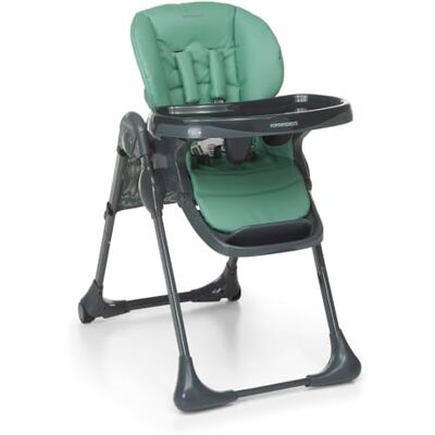 Foppapedretti Gourmand kinderstoel, kinderen van 6 maanden tot 3 jaar (tot 15 kg), licht en compact, afneembare en wasbare bekleding, opvouwbaar in meerdere posities, opbergmand, groen Foppapedretti Gourmand kinderstoel, kinderen van 6 maanden tot 3 jaar (tot 15 kg), licht en compact, afneembare en wasbare bekleding, opvouwbaar in meerdere posities, opbergmand, groen