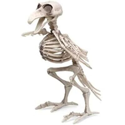 ATOSA Halloween vogel skelet 190 x 12 cm ATOSA Halloween vogel skelet 190 x 12 cm
