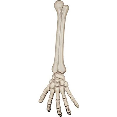 Boland 74556 skeletarm decoratie ca. 46 cm Boland 74556 skeletarm decoratie ca. 46 cm