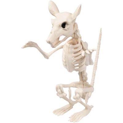 Boland 72404 Rattenskelet, maat 18 cm, beweegbare mond van kunststof, rattendecoratie voor Halloween, carnaval of themafeest Boland 72404 Rattenskelet, maat 18 cm, beweegbare mond van kunststof, rattendecoratie voor Halloween, carnaval of themafeest