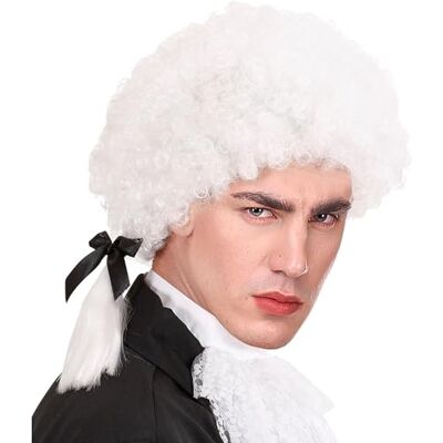 W WIDMANN MILANO Party Fashion Widmann Mozart Pruik voor heren, eenheidsmaat W WIDMANN MILANO Party Fashion Widmann Mozart Pruik voor heren, eenheidsmaat