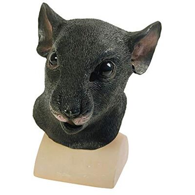 Bristol Novelty BM365 Ratte rattenmasker, zwart, één maat, Halloween Bristol Novelty BM365 Ratte rattenmasker, zwart, één maat, Halloween