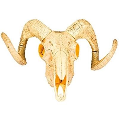 Boland 54319 decoratieve dierenschedel met twee hoorns, 28 x 36 cm, stier, wild vest, feestdecoratie voor themafeest en carnaval Boland 54319 decoratieve dierenschedel met twee hoorns, 28 x 36 cm, stier, wild vest, feestdecoratie voor themafeest en carnaval