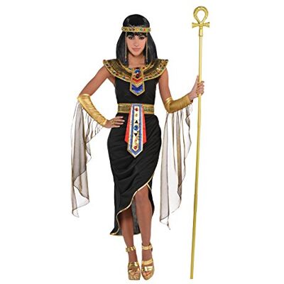 amscan Egyptisch koninginnenkostuum voor dames met hoofdtooi voor volwassenen 1 stuk, niet effen, 42-16 amscan Egyptisch koninginnenkostuum voor dames met hoofdtooi voor volwassenen 1 stuk, niet effen, 42-16