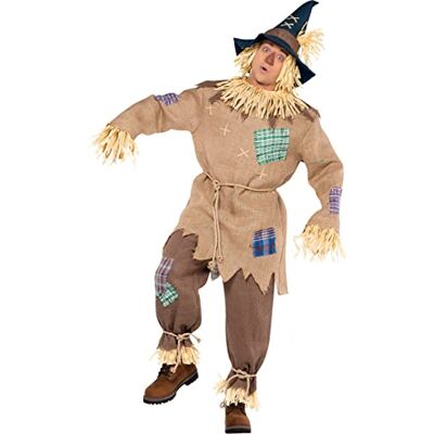 amscan 840288-55 Mr. Scarecrow kostuum voor volwassenen met puntige hoed voor wereldboekendag, standaardmaat amscan 840288-55 Mr. Scarecrow kostuum voor volwassenen met puntige hoed voor wereldboekendag, standaardmaat