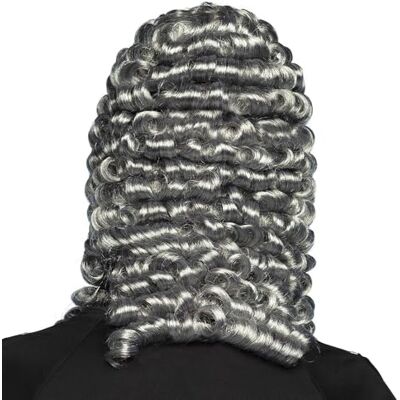 Boland -BOL86364 kostuum en accessoires grijs Eén maat (Ciao Srl BOL86364) Boland -BOL86364 kostuum en accessoires grijs Eén maat (Ciao Srl BOL86364)