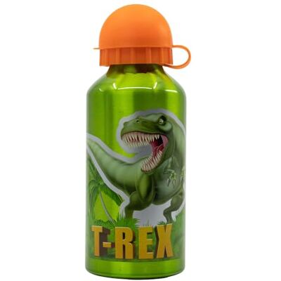 Stor Gourde en aluminium pour enfants Gourde pour enfant Bouteille d'eau réutilisable de 400 ml Dinosaures Stor Gourde en aluminium pour enfants Gourde pour enfant Bouteille d'eau réutilisable de 400 ml Dinosaures