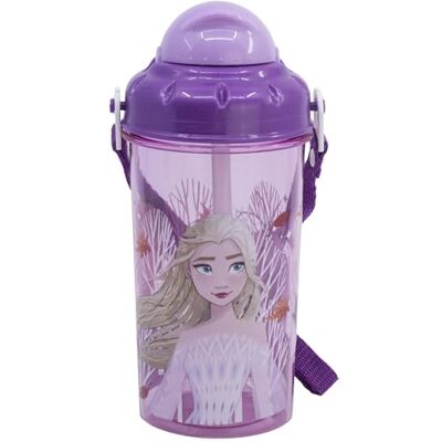 Stor HERBRUIKBARE FLES MET FLES VAN 465 ML FROZEN AUTUM LEAVES Stor HERBRUIKBARE FLES MET FLES VAN 465 ML FROZEN AUTUM LEAVES
