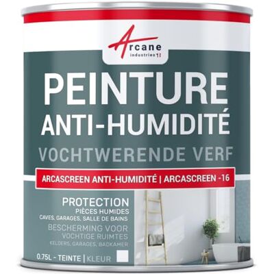 ARCANE INDUSTRIES Anti vochtverf pleisterwerk beton gipsplaat kelder badkamer anti schimmel zoutpeter isolerend ARCASCREEN 0,75 L (tot 3m²) ARCANE INDUSTRIES Anti vochtverf pleisterwerk beton gipsplaat kelder badkamer anti schimmel zoutpeter isolerend ARCASCREEN 0,75 L (tot 3m²)