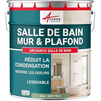 ARCANE INDUSTRIES Peinture salle de bain, mur et plafond Peinture anti condensation et humidité 29 couleurs disponibles 2.5 L Vert Pâle RAL 6021 ARCANE INDUSTRIES Peinture salle de bain, mur et plafond Peinture anti condensation et humidité 29 couleurs disponibles 2.5 L Vert Pâle RAL 6021