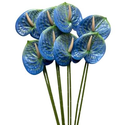 Corkwaw Set van 8 kunstbloemen anthurium, 60 cm, echt gevoel, kunstbloemen voor tafelopzetstuk en bruiloft, festivaldecoratie, bloemstuk (blauw) Corkwaw Set van 8 kunstbloemen anthurium, 60 cm, echt gevoel, kunstbloemen voor tafelopzetstuk en bruiloft, festivaldecoratie, bloemstuk (blauw)