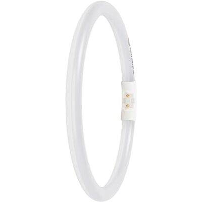 LEDVANCE LED buis T5, 2GX13, 11,6W, 4000K, koud wit, 1700lm, 225mm, dimbaar LEDVANCE LED buis T5, 2GX13, 11,6W, 4000K, koud wit, 1700lm, 225mm, dimbaar