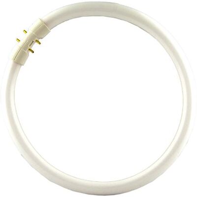 OSRAM FC 22 W/865 fluorescerende buis 12 x 1 OSRAM FC 22 W/865 fluorescerende buis 12 x 1