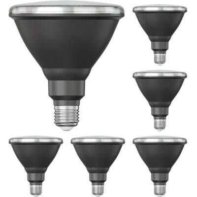 ledscom.de 6 x E27 ledlampen, PAR38 korte hals, warm wit (2700 K), 15,9 W, 1279 lm, 43°, reflectorspiegel (zilver) ledscom.de 6 x E27 ledlampen, PAR38 korte hals, warm wit (2700 K), 15,9 W, 1279 lm, 43°, reflectorspiegel (zilver)