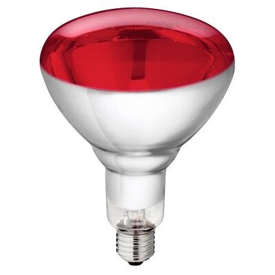 Philips Infraroodlamp 150 W schroef 8433 Philips Infraroodlamp 150 W schroef 8433