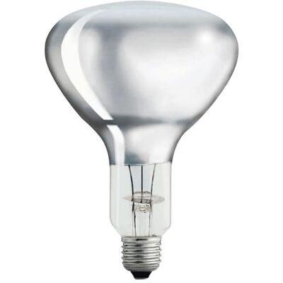 Philips Infraroodlamp, 250 W, BR125IR E27, 230-250 V, zilverkleurig, voor transparant Philips Infraroodlamp, 250 W, BR125IR E27, 230-250 V, zilverkleurig, voor transparant