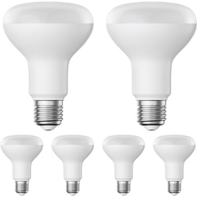 ledscom.de 6 x E27 ledlampen, R80, warm wit (2700 K), 10 W, 935 lm, mat ledscom.de 6 x E27 ledlampen, R80, warm wit (2700 K), 10 W, 935 lm, mat