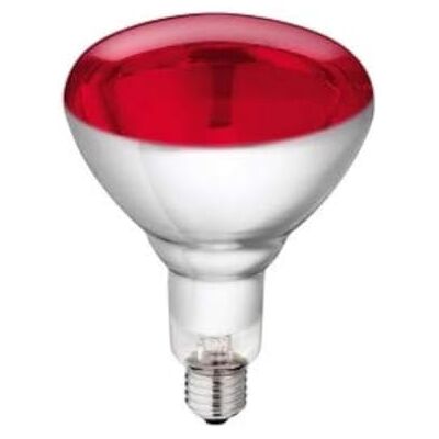 Philips IR 250R R125 E27 infraroodlamp 250 W Philips IR 250R R125 E27 infraroodlamp 250 W