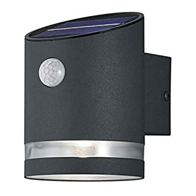 RL LIVE YOUR LIGHT Reality Leuchten Salta R22231142 buitenwandlamp op zonne-energie, kunststof, antraciet, 3 W, bewegingsmelder RL LIVE YOUR LIGHT Reality Leuchten Salta R22231142 buitenwandlamp op zonne-energie, kunststof, antraciet, 3 W, bewegingsmelder