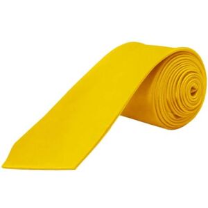 OcioDual Stropdas Heren Mode Kleur Zwart Effen Satijn Gekleed Bruiloft Casual Tie 100% Polyester, Geel. Eén maat OcioDual Stropdas Heren Mode Kleur Zwart Effen Satijn Gekleed Bruiloft Casual Tie 100% Polyester, Geel. Eén maat