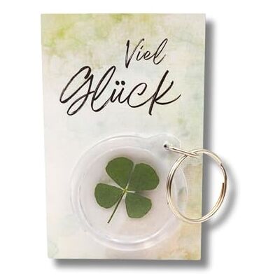 Milaboo Sleutelhanger met echte klaverblad en kaart, geschenkverpakking, kleine talisman voor geluk en moed Milaboo Sleutelhanger met echte klaverblad en kaart, geschenkverpakking, kleine talisman voor geluk en moed