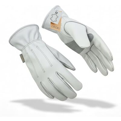 Livlig53 Tuinhandschoenen van leer voor dames, 100% rundleer, doornbestendige handschoenen, ademend en duurzaam, hoogwaardige rozenhandschoenen voor tuinieren, maat XS/S Livlig53 Tuinhandschoenen van leer voor dames, 100% rundleer, doornbestendige handschoenen, ademend en duurzaam, hoogwaardige rozenhandschoenen voor tuinieren, maat XS/S